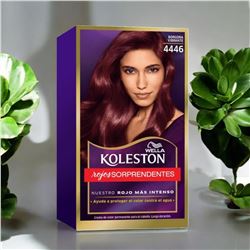 KOLESTON BORGOÑA VIBRANTE